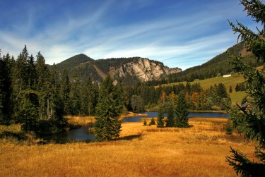 肇庆高要区5民间私贷攻略：揭秘低成本借贷的秘密