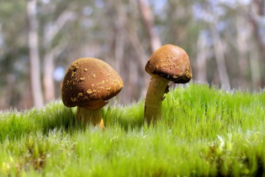 肇庆高要区5私人老板放款：轻松融资的秘密通道